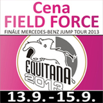 cena field force 2013